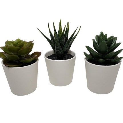 3 Pack of Artificial Succulent Potted Plants in White Plastic 6cm Pot Interior Decoration.