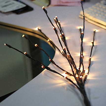 LED Light Bunch Stem - Warm White BATTERY fairy lights - 50cm high 20 bulbs/petals.