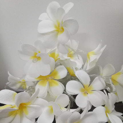 1 Set of 20 LED White Frangipani Flower Battery String Lights Christmas Gift Home Wedding Beach Party Decoration Outdoor Table Centrepiece.