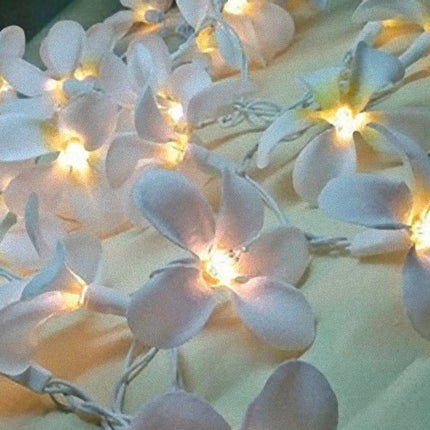 1 Set of 20 LED White Frangipani Flower Battery String Lights Christmas Gift Home Wedding Beach Party Decoration Outdoor Table Centrepiece.