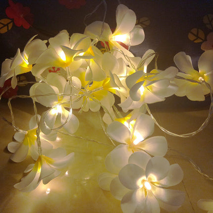 1 Set of 20 LED White Frangipani Flower Battery String Lights Christmas Gift Home Wedding Beach Party Decoration Outdoor Table Centrepiece.