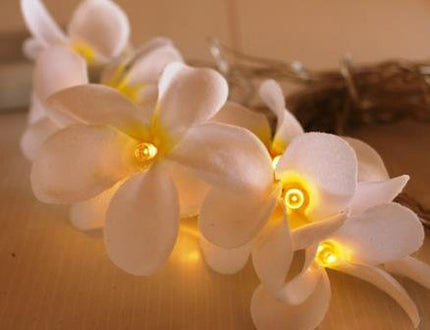 1 Set of 20 LED White Frangipani Flower Battery String Lights Christmas Gift Home Wedding Beach Party Decoration Outdoor Table Centrepiece.