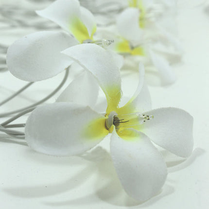 1 Set of 20 LED White Frangipani Flower Battery String Lights Christmas Gift Home Wedding Beach Party Decoration Outdoor Table Centrepiece.