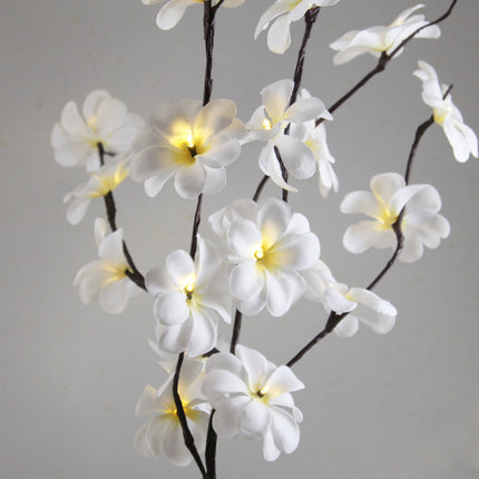 1 Set of 50cm H 20 LED White Frangipani Tree Branch Stem Fairy Light Wedding Event Party Function Table Vase Centrepiece Decoration.