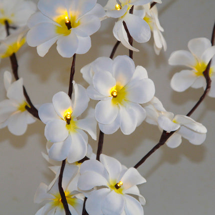 1 Set of 50cm H 20 LED White Frangipani Tree Branch Stem Fairy Light Wedding Event Party Function Table Vase Centrepiece Decoration.