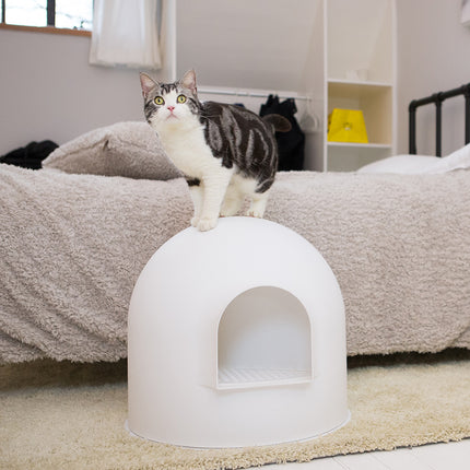 Pet Care Cartoz.