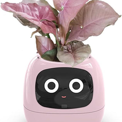 Intelligent Flower Pot, Electronic Bud, Maintenance Plant Assistant, Fun Interactive Flower Pot, Indoor Green Planting Monitoring, LCD Screen Display, Cell Phone APP Connection (Pink).