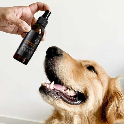 Citronella Gard Spray Insect Deterrant for Dogs.