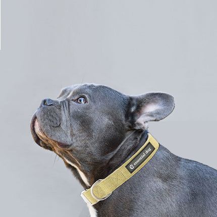 Natural Hemp & Cotton Dog Collar (Grass Green).
