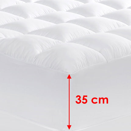 Home & Garden Cartoz.