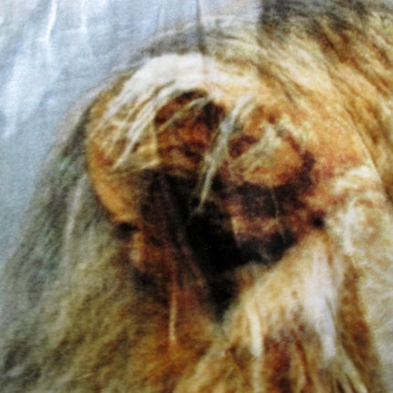 800GSM Luxury Reversible Animal Pattern Mink Blanket Queen 200 x 240 cm Lion Tiger Brown.