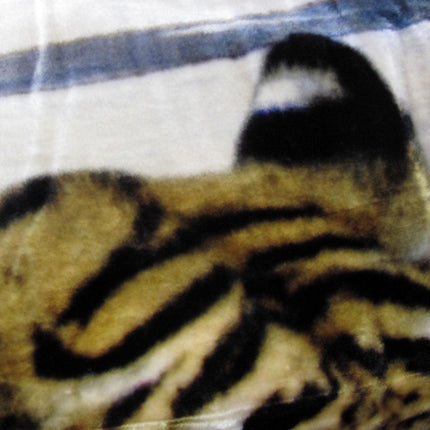 800GSM Luxury Reversible Animal Pattern Mink Blanket Queen 200 x 240 cm Three Tigers Blue.