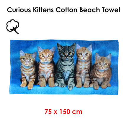 Curious Kittens Cotton Beach Towel.