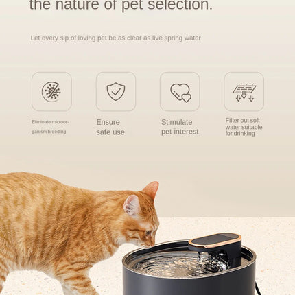 Pet Care Cartoz.