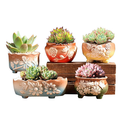 Set of 5 Succulent Plant Pots Flower Patterned with Drainage Holes.