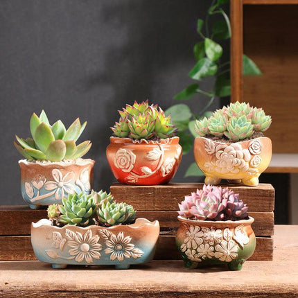 Set of 5 Succulent Plant Pots Flower Patterned with Drainage Holes.