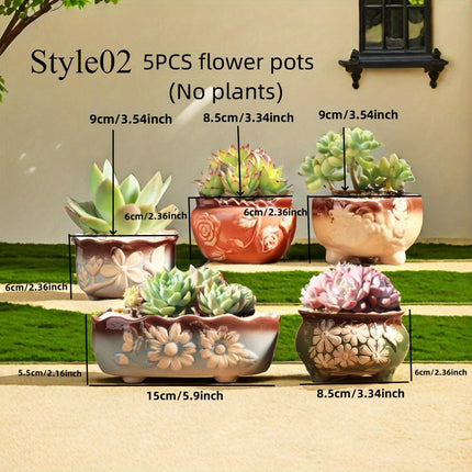 Set of 5 Succulent Plant Pots Flower Patterned with Drainage Holes.