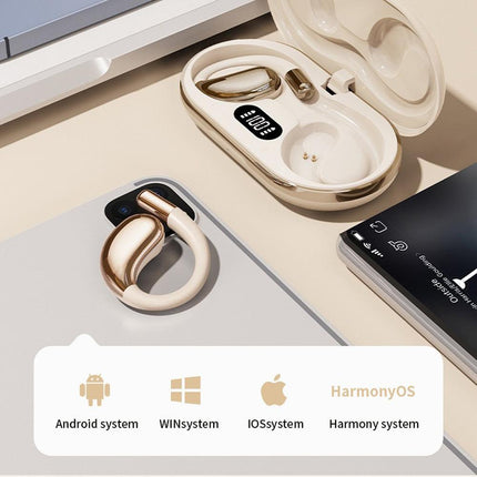 Wireless Earhook Sports Headphones Open-Ear Bluetooth 5.4 Sweat-Resistant Earphones (Black).