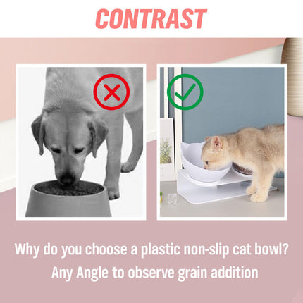 Pet Care Cartoz.