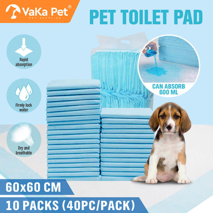 Pet Care Cartoz.
