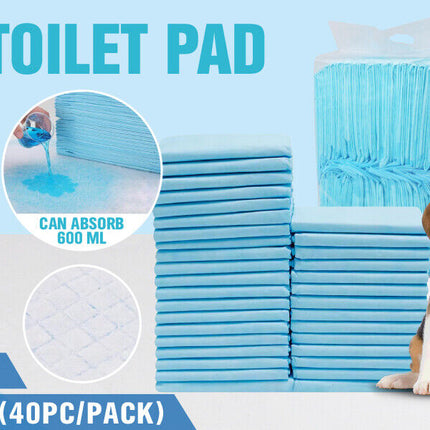 Pet Care Cartoz.