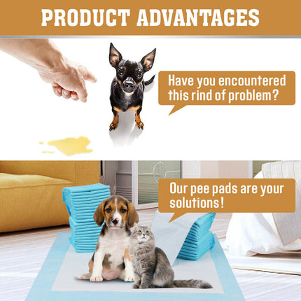 Pet Care Cartoz.