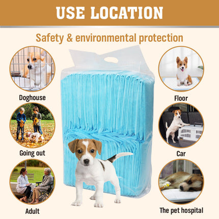 Pet Care Cartoz.