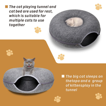 Pet Care Cartoz.