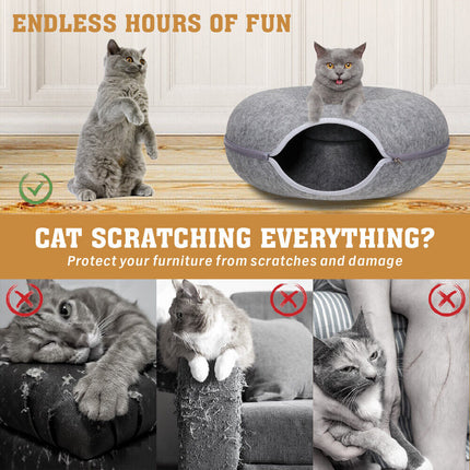Pet Care Cartoz.