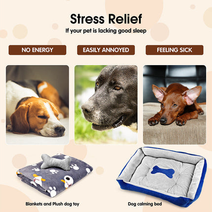 Pet Care Cartoz.