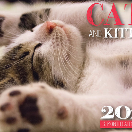 Cats And Kittens - 2025 Rectangle Wall Calendar 16 Months Hanging Animal Planner.