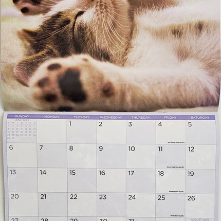 Cats And Kittens - 2025 Rectangle Wall Calendar 16 Months Hanging Animal Planner.