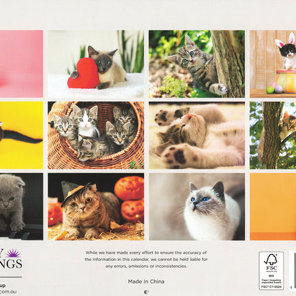 Cats And Kittens - 2025 Rectangle Wall Calendar 16 Months Hanging Animal Planner.