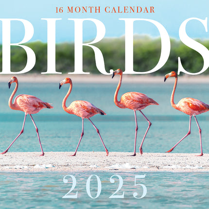Birds - 2025 Rectangle Wall Calendar 16 Months Hanging Animal Planner New Year.