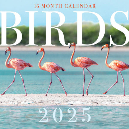 Birds - 2025 Rectangle Wall Calendar 16 Months Hanging Animal Planner New Year.