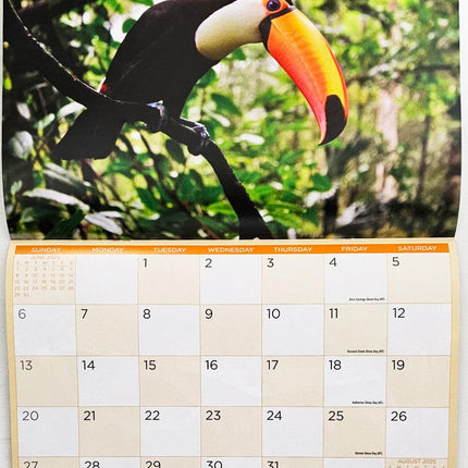 Birds - 2025 Rectangle Wall Calendar 16 Months Hanging Animal Planner New Year.