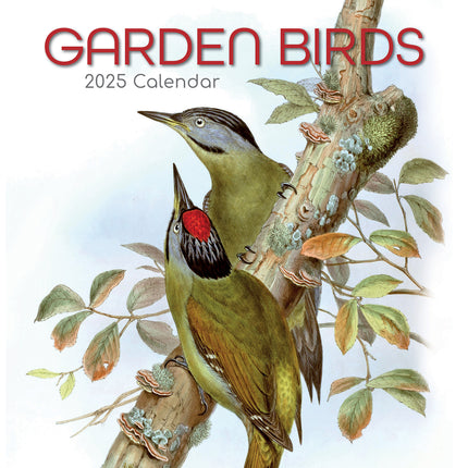 Garden Birds - 2025 Square Wall Calendar Pets Animals 16 Months Premium Planner.