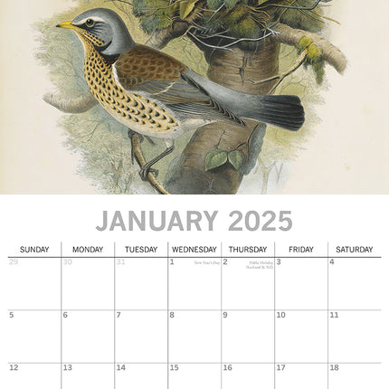 Garden Birds - 2025 Square Wall Calendar Pets Animals 16 Months Premium Planner.
