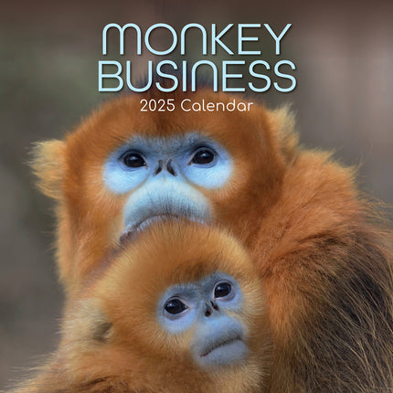 Monkey Business 2025 Square Wall Calendar Animals 16 Months Premium Planner Gift.