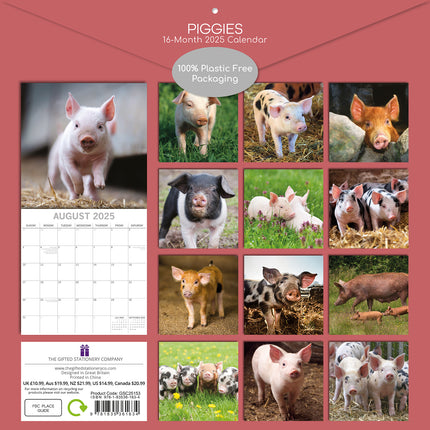 Piggies - 2025 Square Wall Calendar Pets Animals 16 Months Premium Planner Gift.