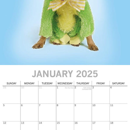 Dogs as Animals - 2025 Square Wall Calendar Pets Animals 16 Months Planner Gift.