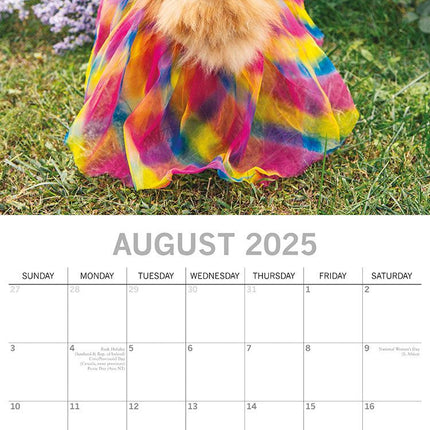 Dogs as Animals - 2025 Square Wall Calendar Pets Animals 16 Months Planner Gift.