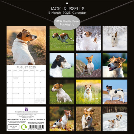Jack Russells - 2025 Square Wall Calendar Dogs Pets Animals 16 Months Planner.