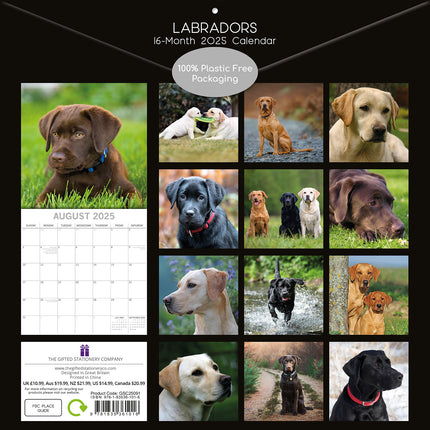 Labradors - 2025 Square Wall Calendar Dogs Pets Animals 16-Month Premium Planner.
