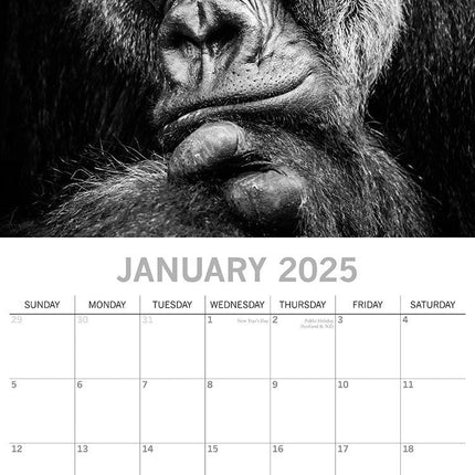 Seascapes - 2025 Square Wall Calendar 16 Months Premium Planner Christmas Gift.