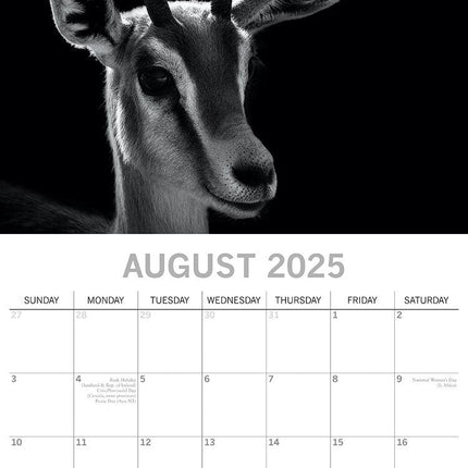 Seascapes - 2025 Square Wall Calendar 16 Months Premium Planner Christmas Gift.