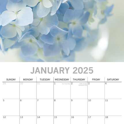 Beauty of Flowers 2025 Square Wall Calendar Floral 16-Month Premium Planner Gift.