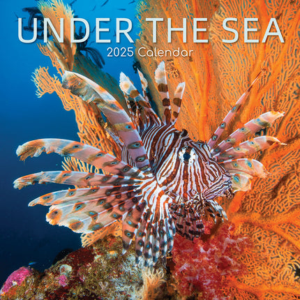 Under the Sea 2025 Square Wall Calendar 16 Months New Year Premium Planner Gift.
