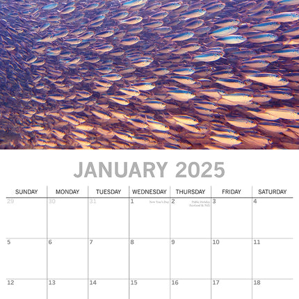 Under the Sea 2025 Square Wall Calendar 16 Months New Year Premium Planner Gift.