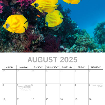 Under the Sea 2025 Square Wall Calendar 16 Months New Year Premium Planner Gift.